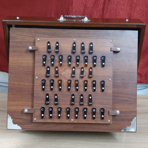 Shriji Large Shruti Box 39 Keys, 3 Reed Sets, C3-C6 First-Third Octaves, 440Hz and 432Hz, 17x14x3 Inch, Wood and Ply