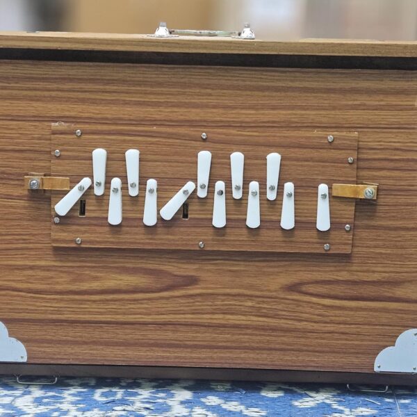 Shriji Shruti Box Large Teak Wood C3-C4 440Hz/432Hz Sur Peti with Bag, With/Without Pedal 16x12x3 Inch