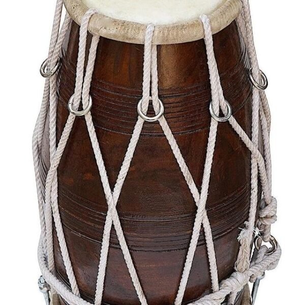 Handmade Professional Dholak Drum, Bolt and Rope Tuned, Mango Wood, Special Skin, with Bag and Spinner by Shriji