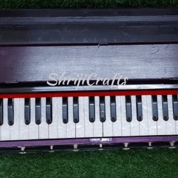 ShrijiCrafts Portable 39-Key Harmonium