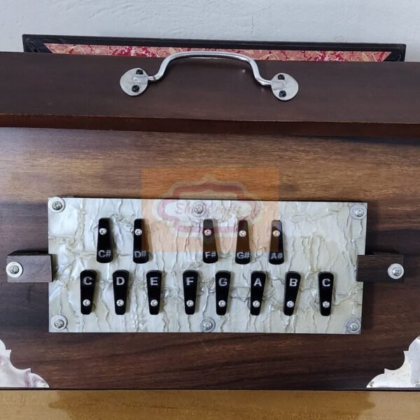 ShrijiCrafts Dual-Tuned Shruti Box