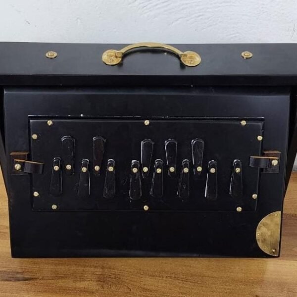 Shriji Premium Teak Wood Shruti Box Black C3-C4 440Hz and 432Hz, Wooden Keys, 13x9x3 Inch, with Bag, Made in India