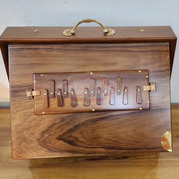 ShrijiCrafts 13-Note Teak Shruti Box