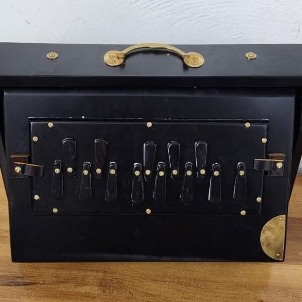 Shriji Premium Teak Wood Shruti Box Black C3-C4 440Hz 432Hz, Wooden Keys, 13x9x3 Inch, with Bag, Made in India
